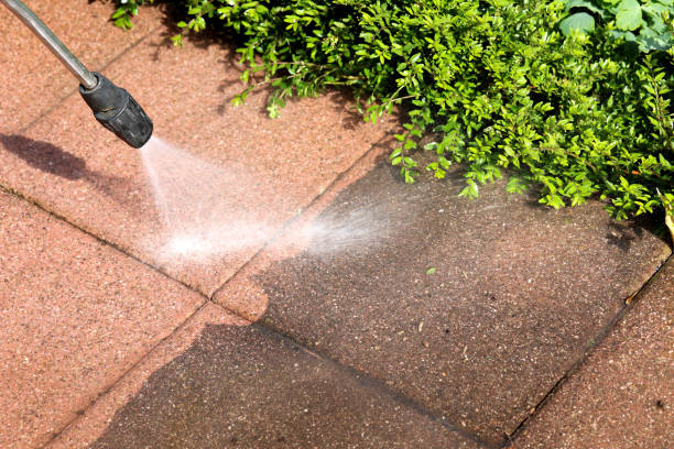 Best Roof Power Washing Services  in Henderson, GA